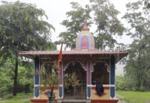 चिपळूण ; श्रावणाच्या निसर्गसौंदर्यात भर घालतोय बोरगावचा ‘महाबळेश्वर’