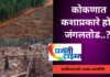 २७ दिवसात २२५ ट्रक लाकूड वाहतुकीचे परवाने वन विभागाचा धडाका; बेसुमार जंगलतोडीचा पर्दाफाश