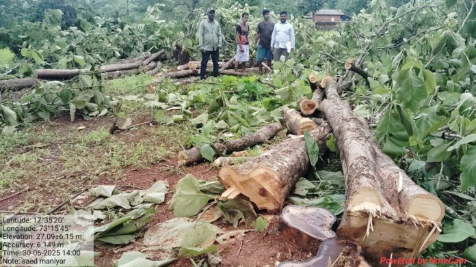 IMG-20250701-WA0051(1)