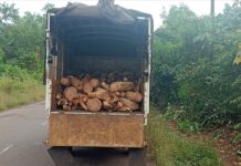 गुहागर – विनापरवानगी खैराची वाहतूक करणारी गाडी जप्त