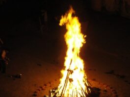 आजपासून कोकणात शिमगोत्सवाची धुमाळी