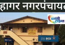 गुहागर ; विकास आराखड्यातील सूचनांना केराची टोपली नागरिकांकडून नाराजीचा सूर