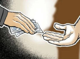 चिपळूण ; कामथे ग्रामीण रुग्णालयातील महिला डॉक्टर ACBच्या जाळ्यात; लाच स्वीकारताना रंगेहाथ कारवाई