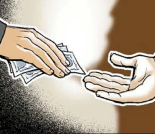 चिपळूण ; कामथे ग्रामीण रुग्णालयातील महिला डॉक्टर ACBच्या जाळ्यात; लाच स्वीकारताना रंगेहाथ कारवाई