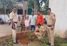 पर्यावरण रक्षणाचा संदेश देत चिपळूण पोलिसांचे वृक्षप्रेम; जागतिक पर्यावरण दिनी पारिजाताचे रोप लावले