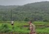 चिखलात उतरले ‘खाकी’चे पाऊल; पोलीस अधीक्षक नितीन बगाटे यांनी शेतकऱ्यांसोबत केली भातलावणी