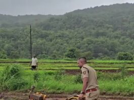 चिखलात उतरले ‘खाकी’चे पाऊल; पोलीस अधीक्षक नितीन बगाटे यांनी शेतकऱ्यांसोबत केली भातलावणी
