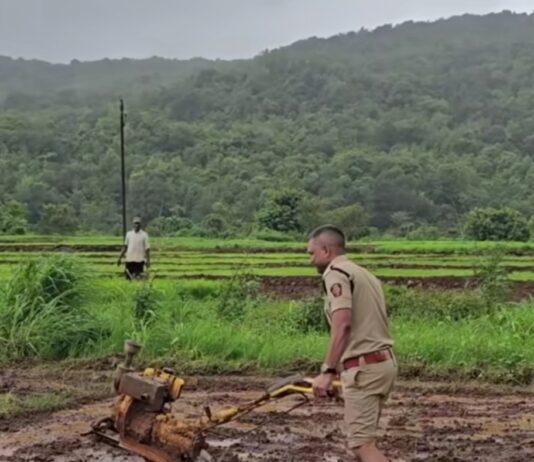 चिखलात उतरले ‘खाकी’चे पाऊल; पोलीस अधीक्षक नितीन बगाटे यांनी शेतकऱ्यांसोबत केली भातलावणी