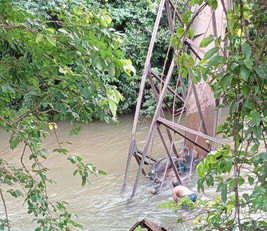 कुटगिरीत लोखंडी पूल कोसळला; १० ते १२ गुरे गर्डरखाली, एका बैलाचा मृत्यू
