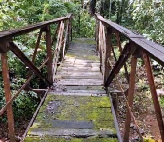 ७८ वर्षांच्या स्वातंत्र्यानंतरही रस्त्यासाठी संघर्ष; पाचेरीसडा उपेक्षितच!