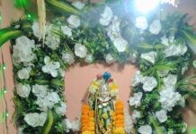 दसरा ते कोजागिरी पौर्णिमा; गिमवीत सालबाई देवीच्या उत्सवाची अनोखी परंपरा!